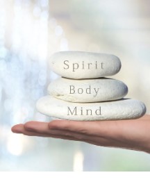 wellness core